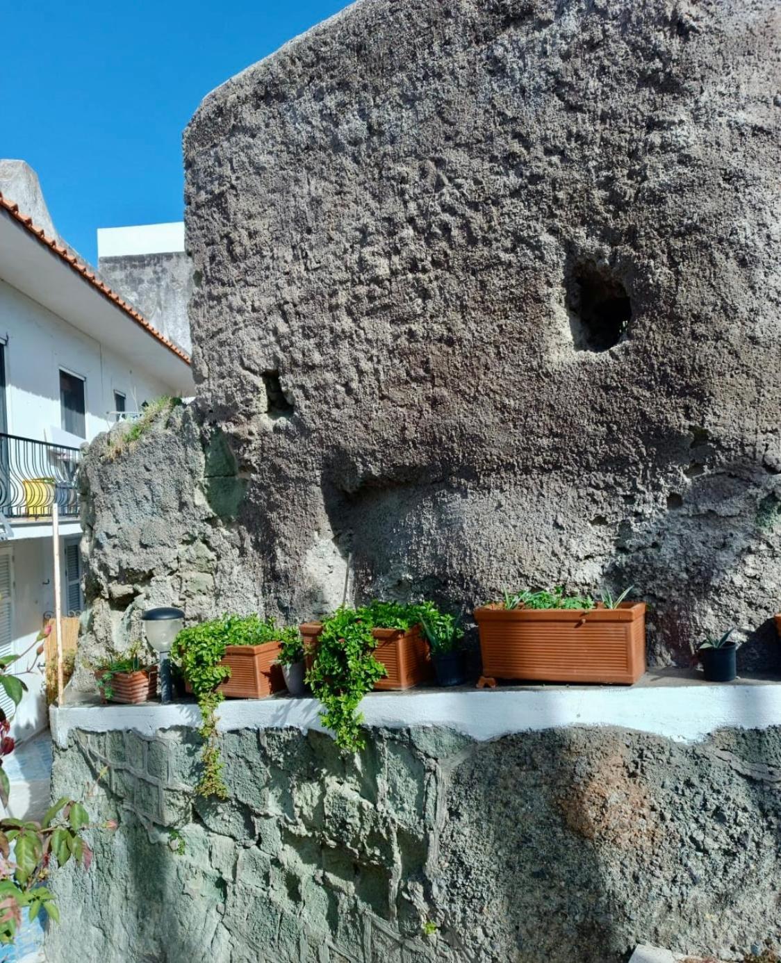 Casa Delle Rose Apartman Ischia Kültér fotó