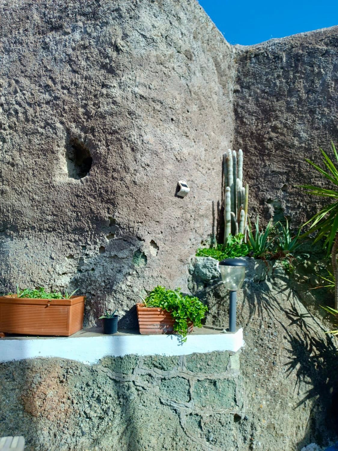 Casa Delle Rose Apartman Ischia Kültér fotó